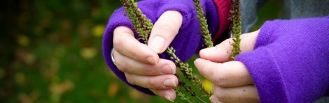Turtle Doves purple fingerless gloves